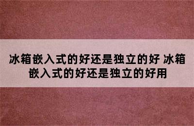 冰箱嵌入式的好还是独立的好 冰箱嵌入式的好还是独立的好用